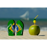 Мечты сбываются:Бразилия и Аргентина 